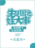 《生娃是国之大事》封面