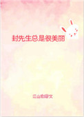 《封先生总是很美丽》封面