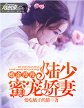 《婚途漫漫：陆少蜜宠娇妻》封面