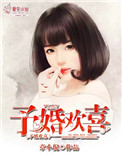 《予婚欢喜》封面