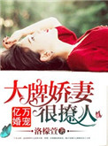 《亿万婚宠：大牌娇妻很撩人》封面