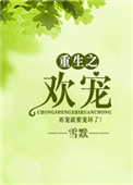 《重生之欢宠》封面