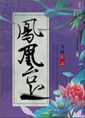 《修真之凤凰台上》封面