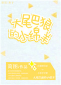 《大尾巴狼的小绵羊》封面
