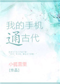 《我的手机通古代》封面