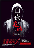 《白夜追凶》封面