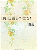 《[网王]彼男？彼女！》封面
