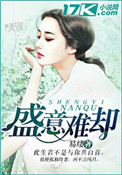《盛意难却》封面
