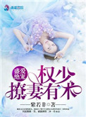 《盛爱绝宠：权少撩妻有术》封面