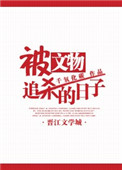 《被文物追杀的日子》封面