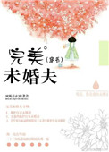 《完美未婚夫[穿书]》封面
