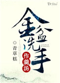 《金盆洗手作羹汤》封面