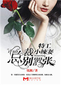 《特工小辣妻：wuli总裁别嚣张！》封面