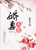 《娇妻入瓮》封面