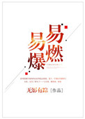 《易燃易爆》封面