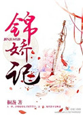 《锦娇记》封面