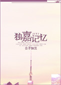《独嘉记忆》封面