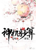 《神机妙算（甜宠）》封面