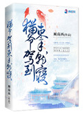 《猫爷驾到束手就寝》封面
