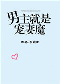 《男主就是宠妻魔》封面