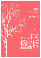 《手可摘星辰》封面