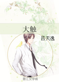 《大触》封面