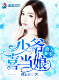 《撩入指掌：少爷喜当娘》封面