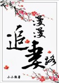 《漫漫追妻路》封面