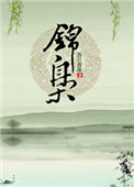 《锦枭》封面