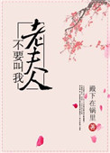 《不要叫我老夫人》封面