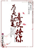 《为夫就是喜欢撩你》封面