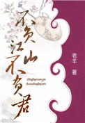 《不负江山不负君》封面