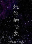 《她给的假象》封面