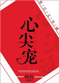 《心尖宠（娱乐圈）》封面
