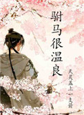 《驸马很温良》封面