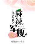 《九零年代之麻辣军嫂》封面