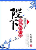 《陛下总是被打脸》封面