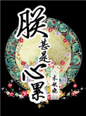 《朕甚是心累》封面