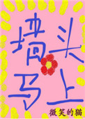 《墙头马上》封面