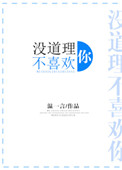 《没道理不喜欢你》封面