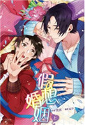 《假想婚姻》封面