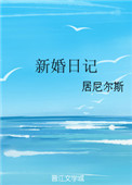 《新婚日记（作者：居尼尔斯）》封面