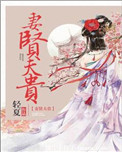 《妻闲夫贵》封面