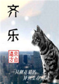 《齐乐》封面