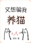 《又想骗我养猫》封面