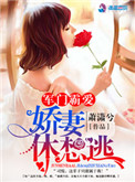 《军门霸爱：娇妻休想逃》封面