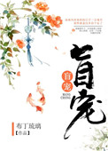 《盲宠》封面