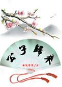 《公子归来》封面