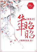 《重生之华年昭昭》封面