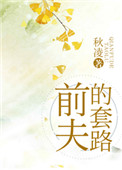 《前夫的套路》封面